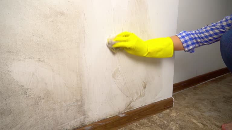 Best Mold Documentation for Insurance Claims  in Browns Mills, NJ