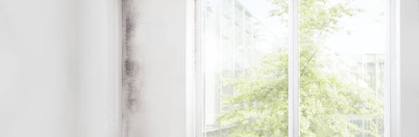 Best Biohazard Mold Removal  in Browns Mills, NJ